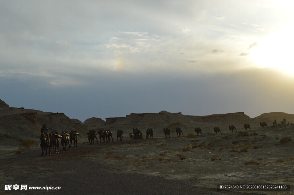 沙漠中的古老遗迹景观