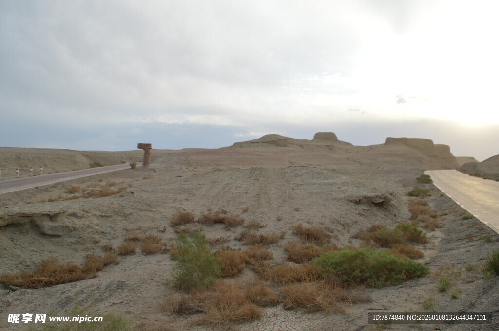 沙漠中的稀疏植被与行人