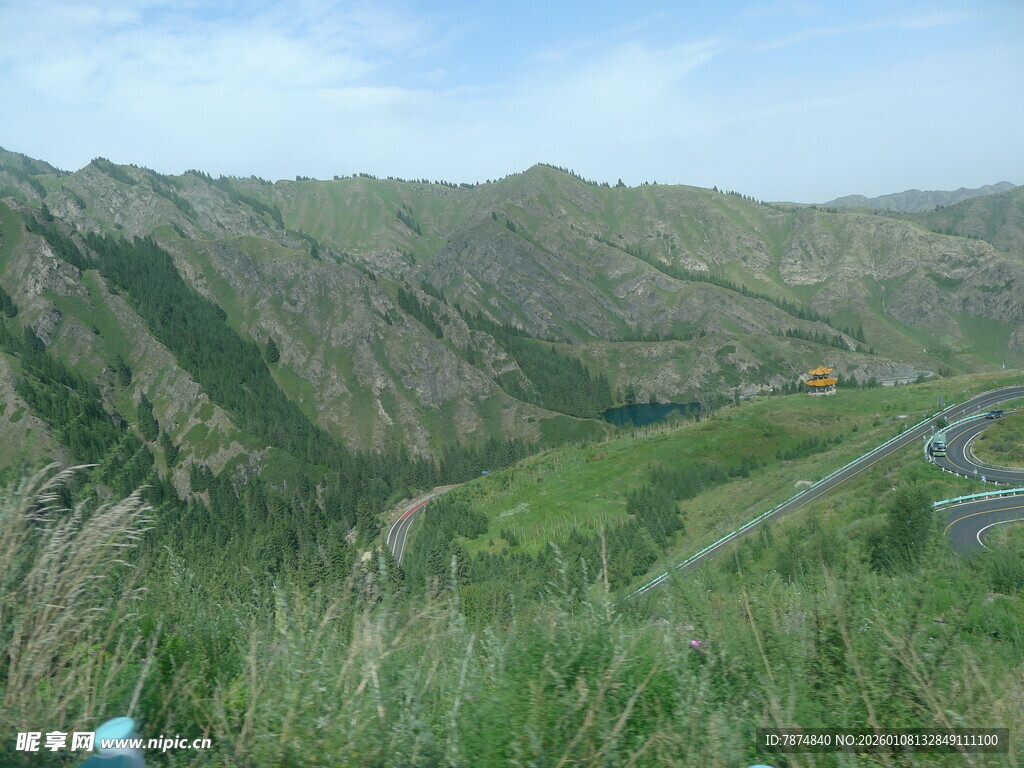 山间公路旁的葱郁草地