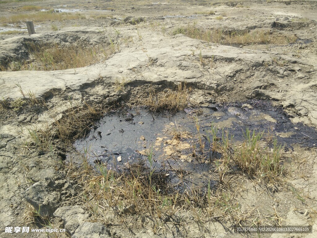 地面上的石油