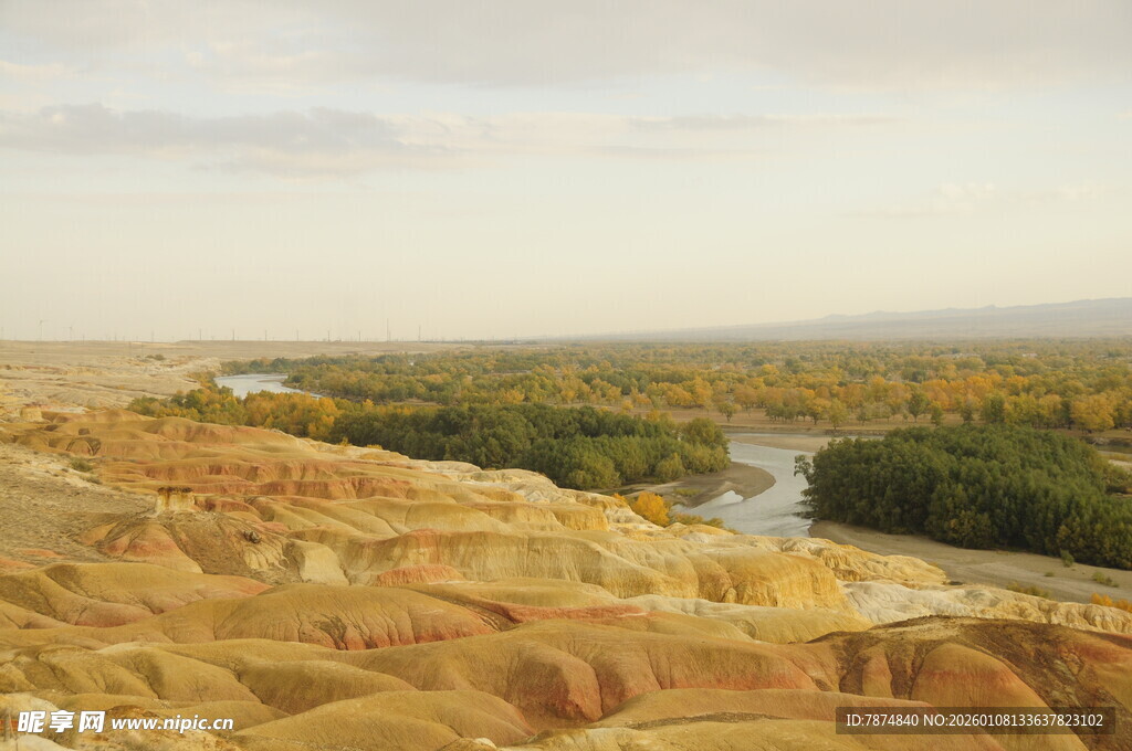 壮丽河谷沙漠景观