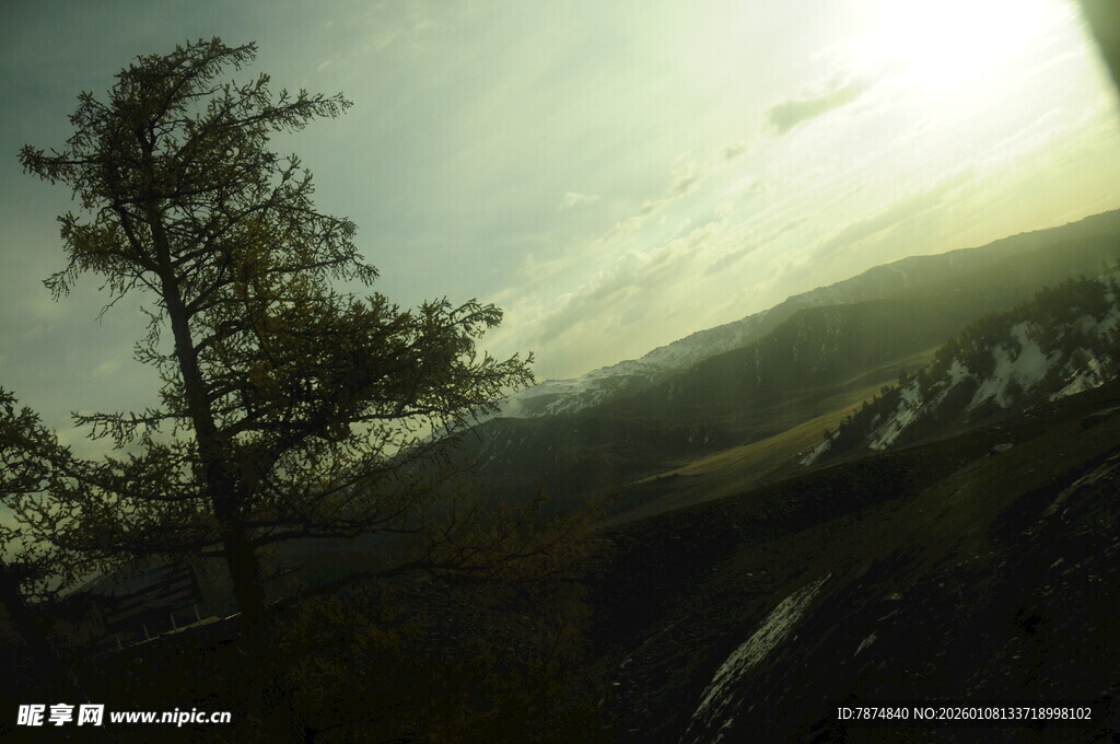 黄昏下的孤树与旷野