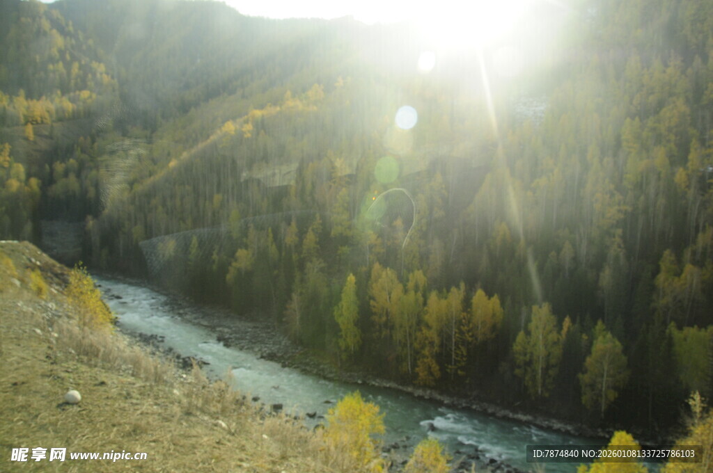 山间河流与茂密森林景观