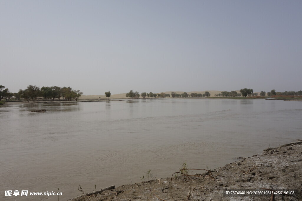 宽阔河岸旁的平静水域