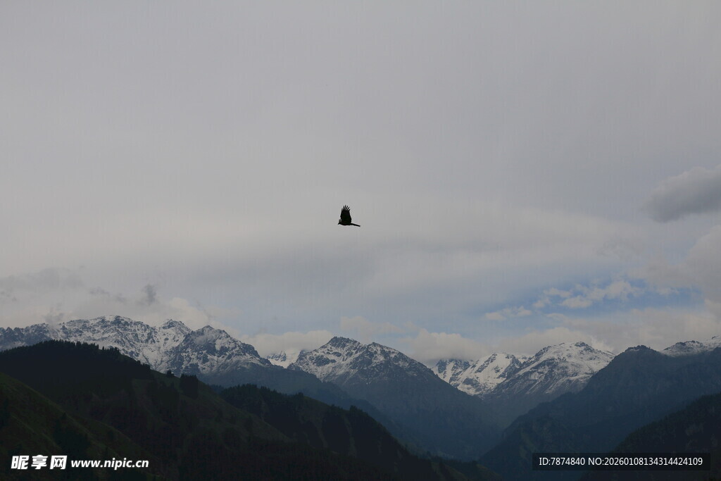 高山上空的飞行物