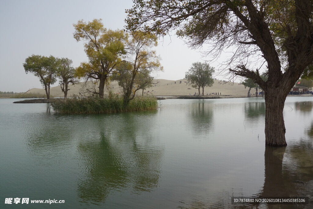 湖畔树木倒映的静谧风光