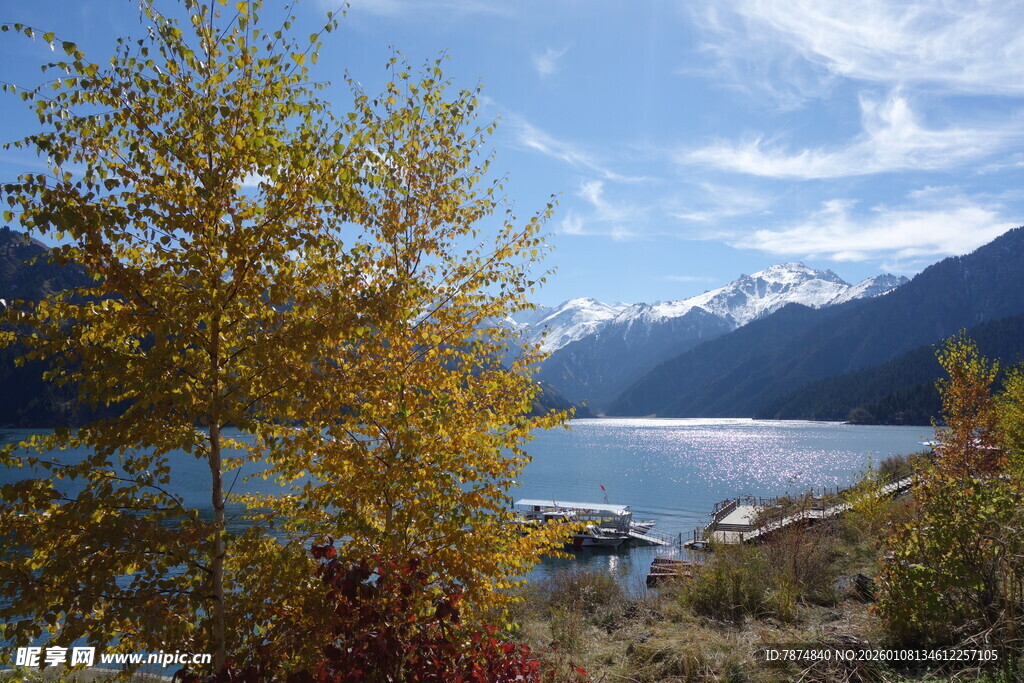 湖畔秋景 远山与金黄树木