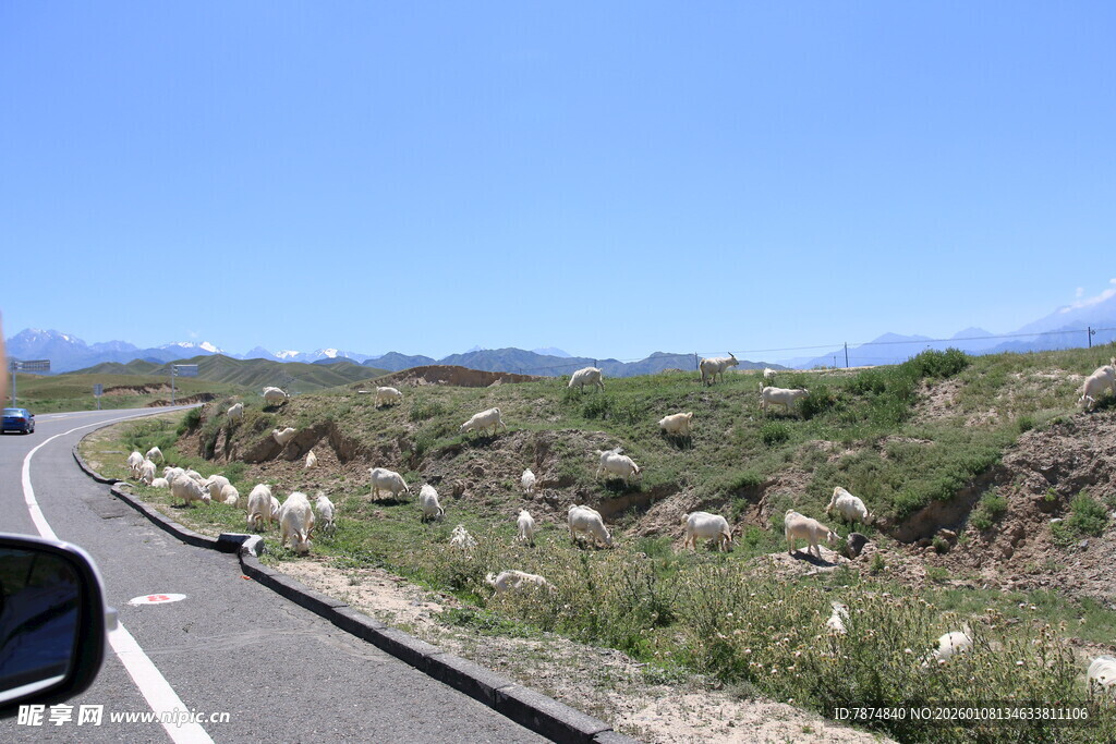 公路风景 开阔自然之旅
