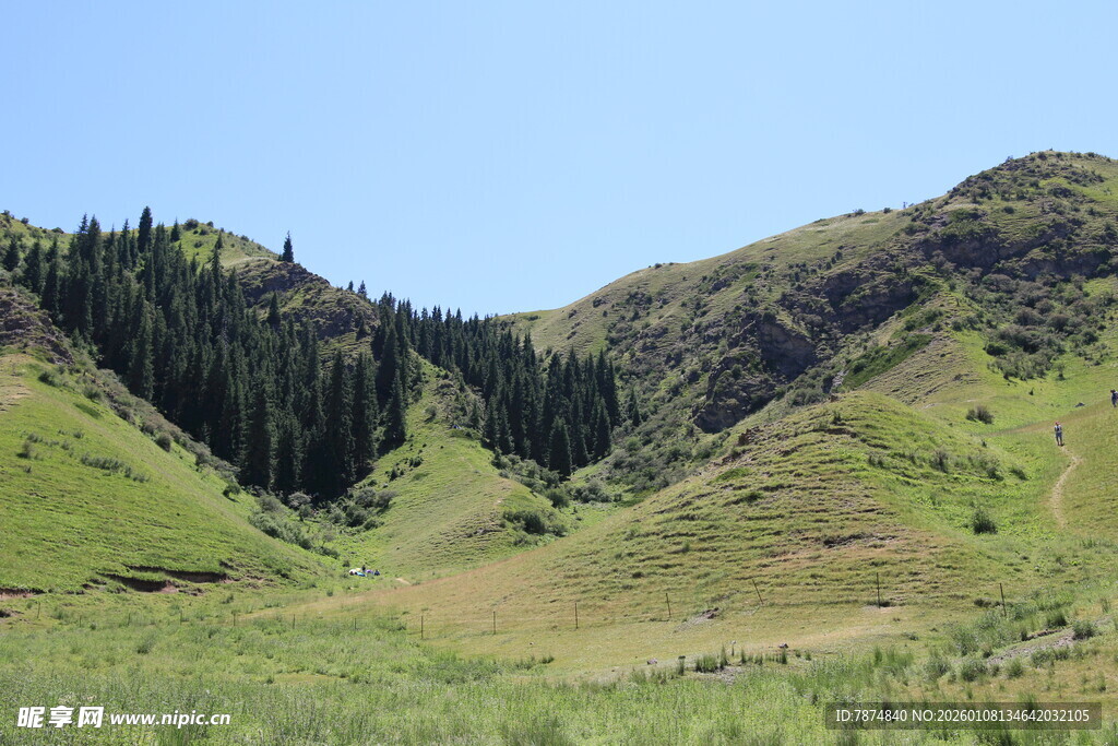 山间绿意盎然的美丽景致