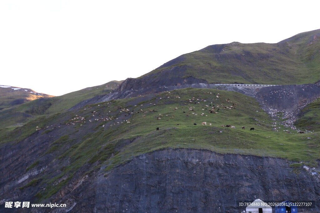 山间美景现 露营好地方