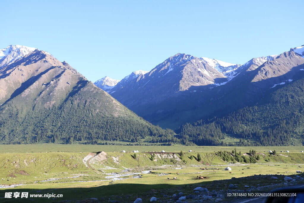 壮丽高山草原风光画面