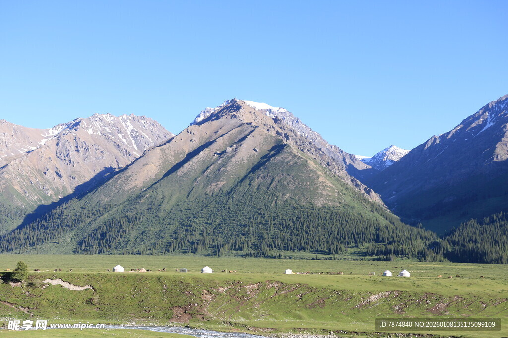 壮丽高山下的广袤草原