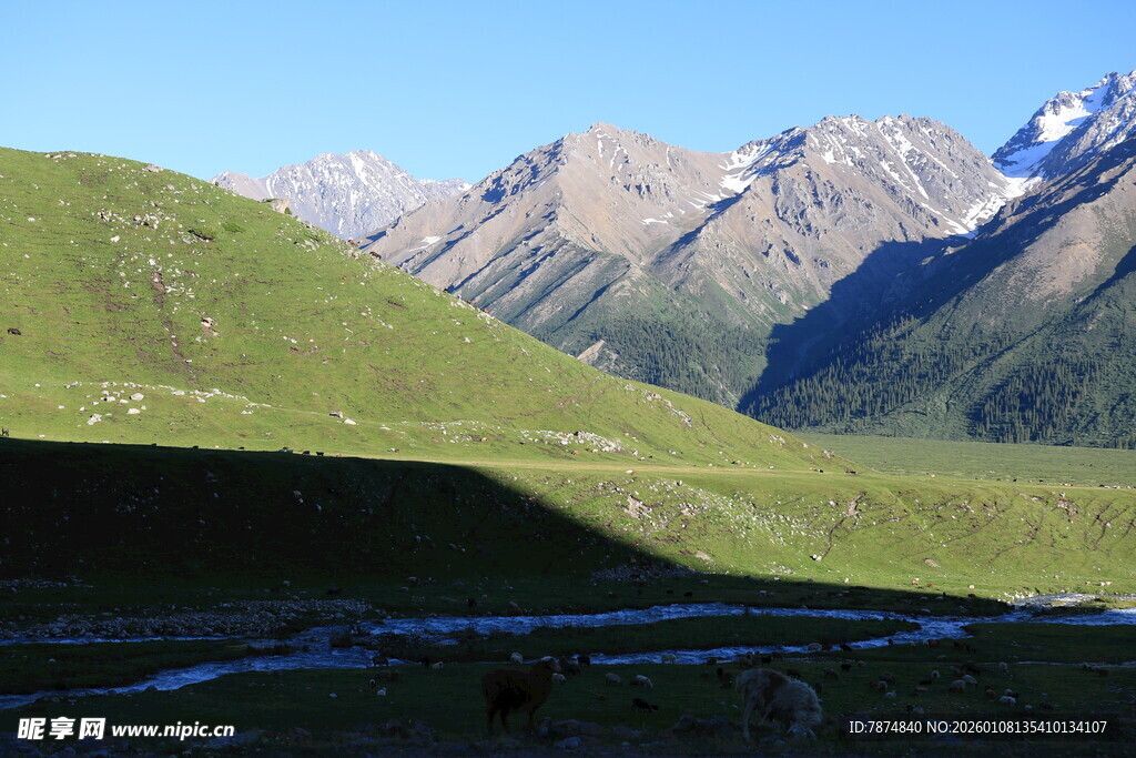 山间绿野与远处雪山美景
