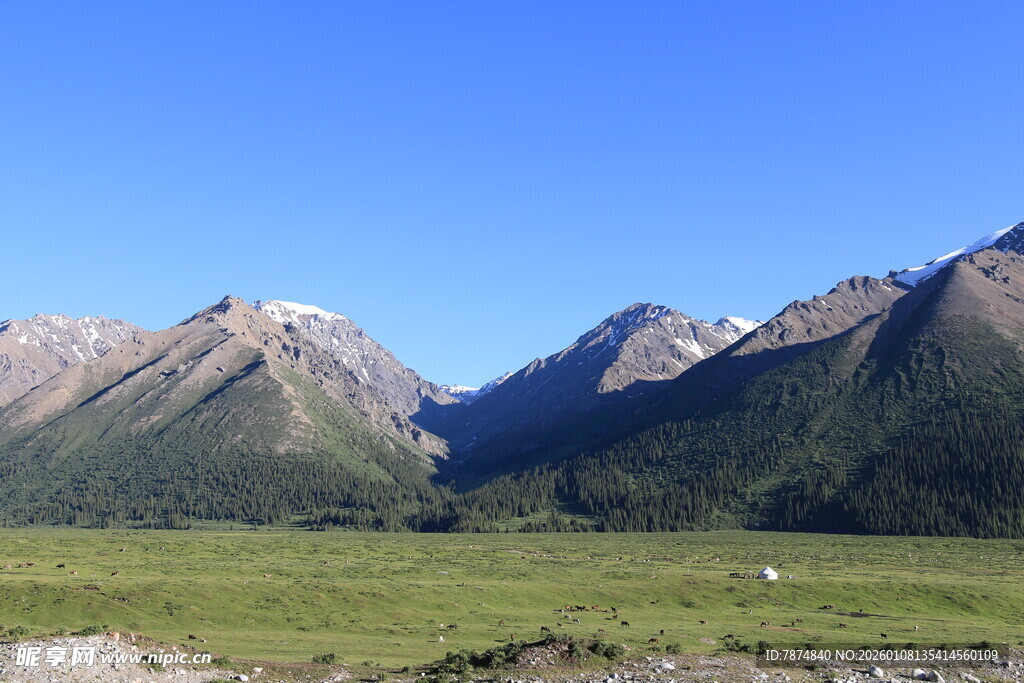 壮丽山景下的开阔草原
