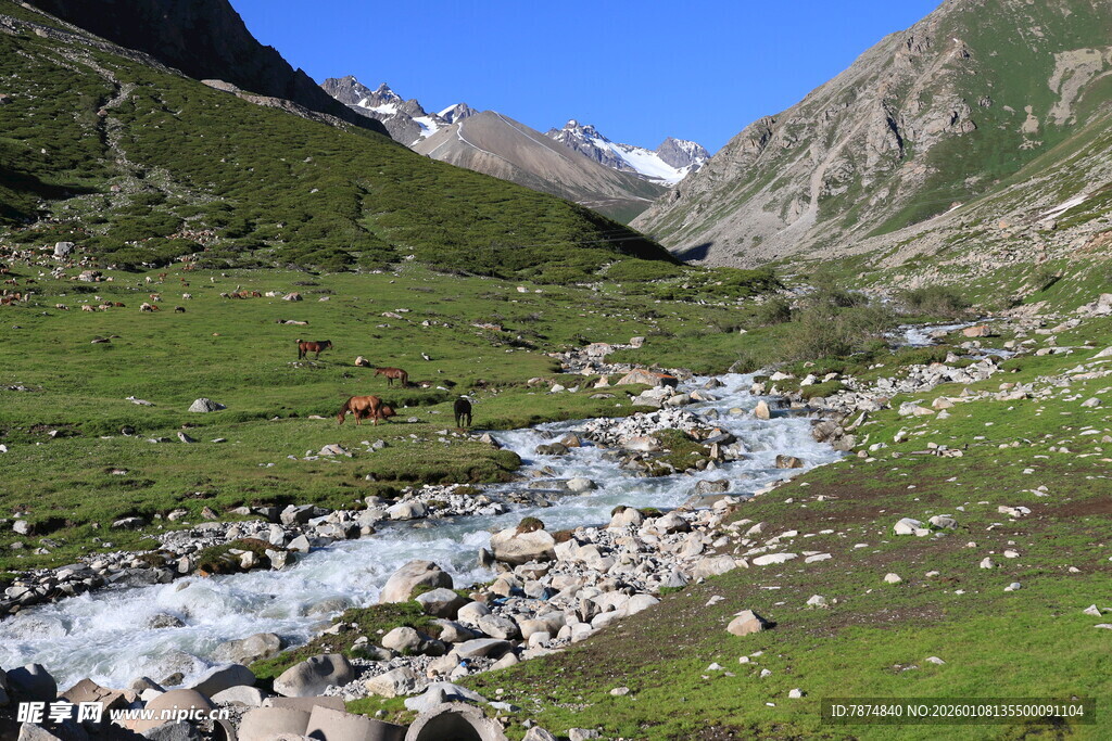 山间溪流旁的美丽自然景