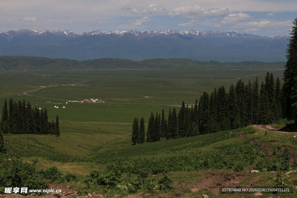 山间绿野 葱郁林木与远景