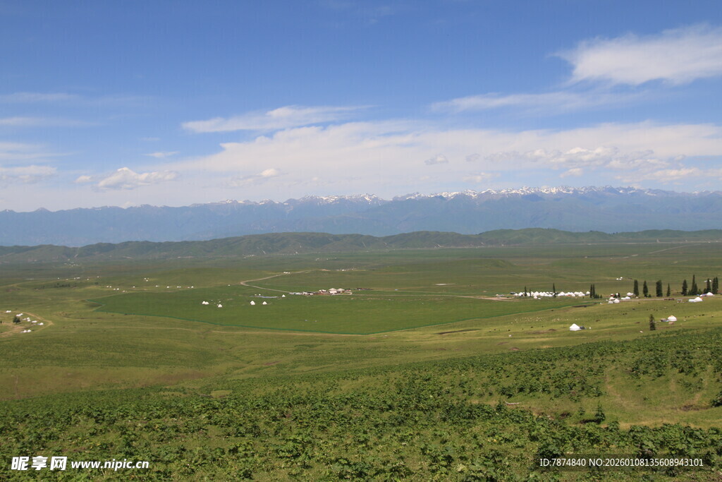 广袤绿野与远山蓝天美景