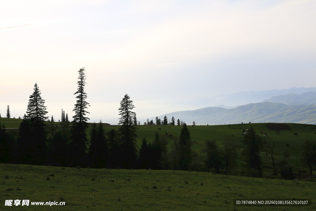 草原松林与远山美景