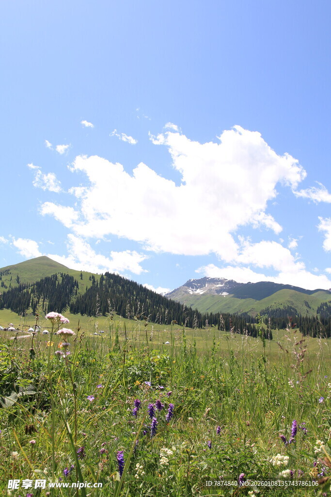 山间草地 蓝天白云美景