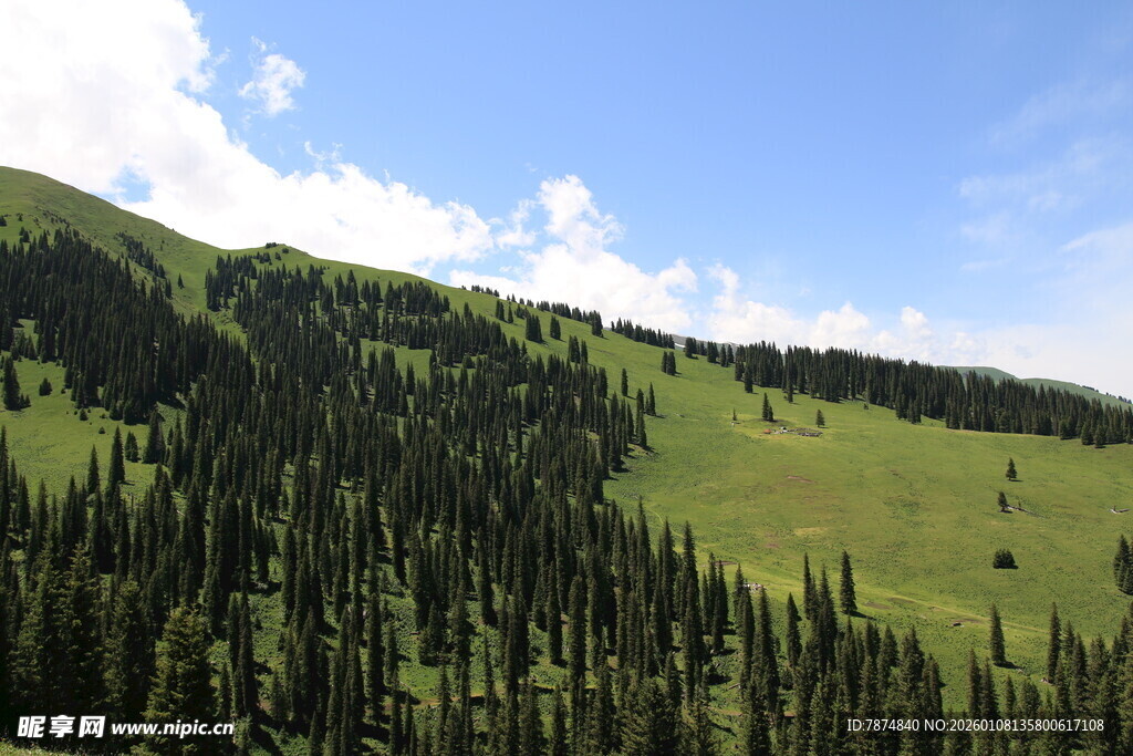 青山翠林间的秀丽风光