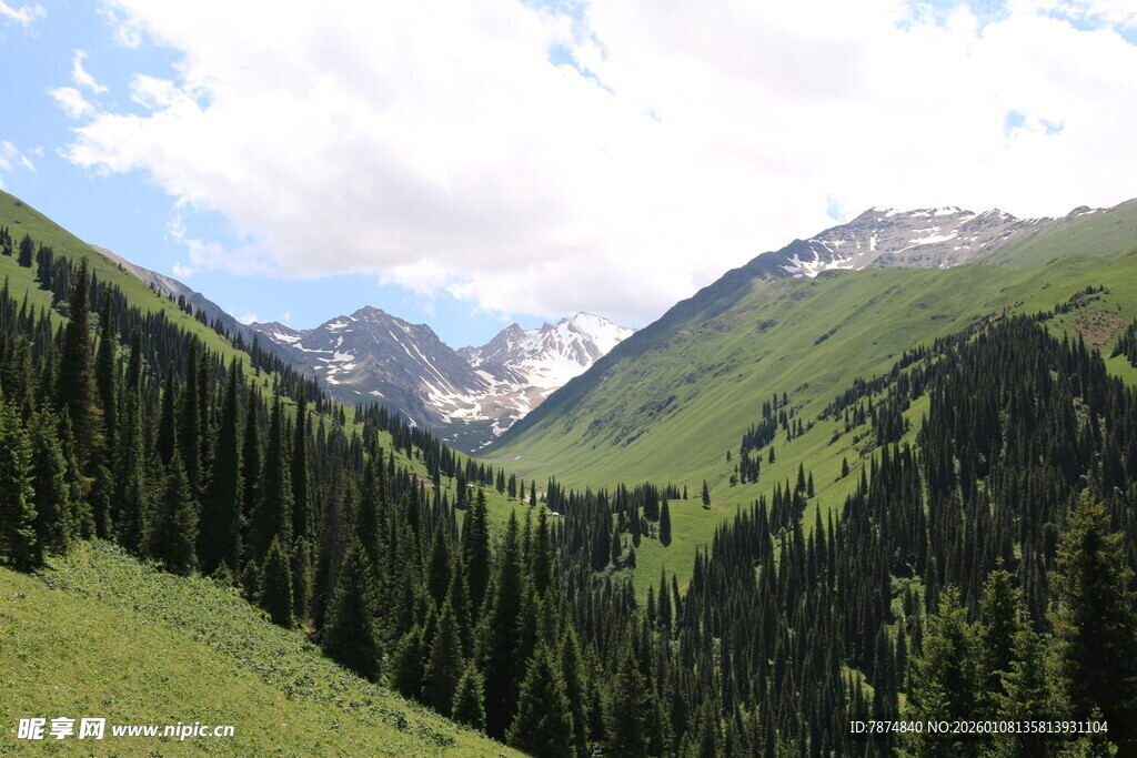 青山翠谷间的秀丽风光