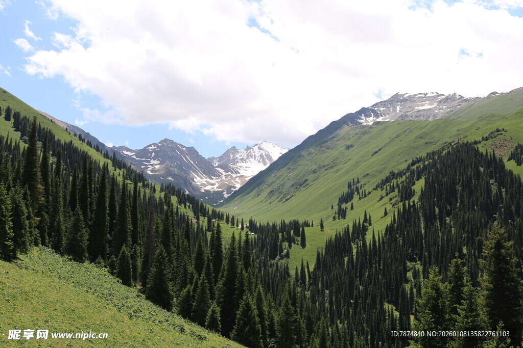 青山翠谷间的壮丽山景