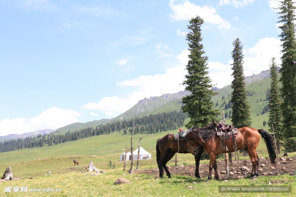 草原骏马与悠闲的人们