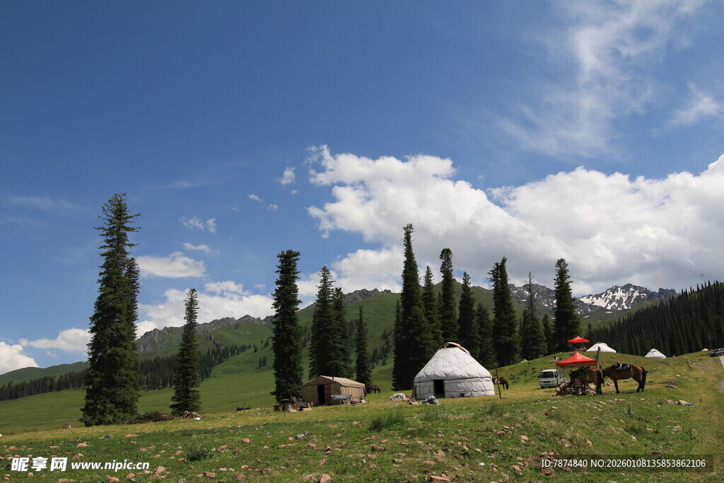 草原上的帐篷与挺拔树木