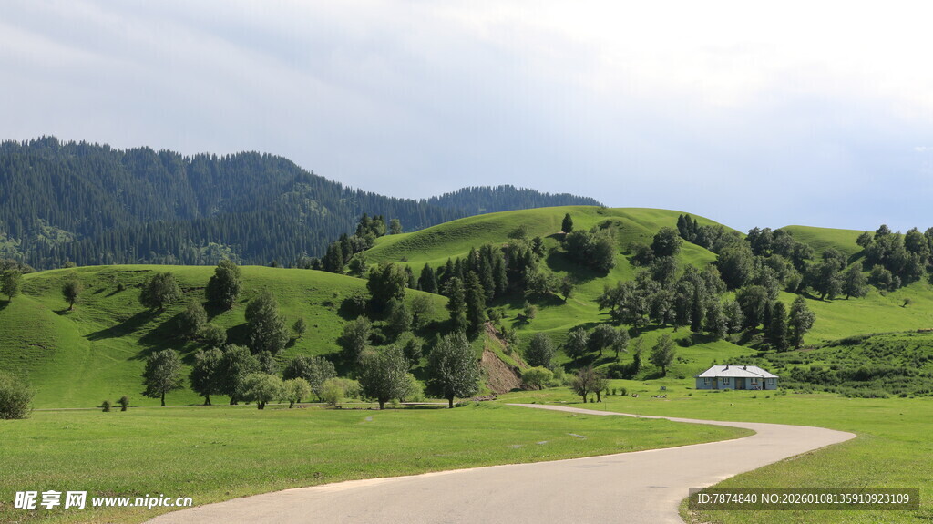 山间绿野中的蜿蜒小路