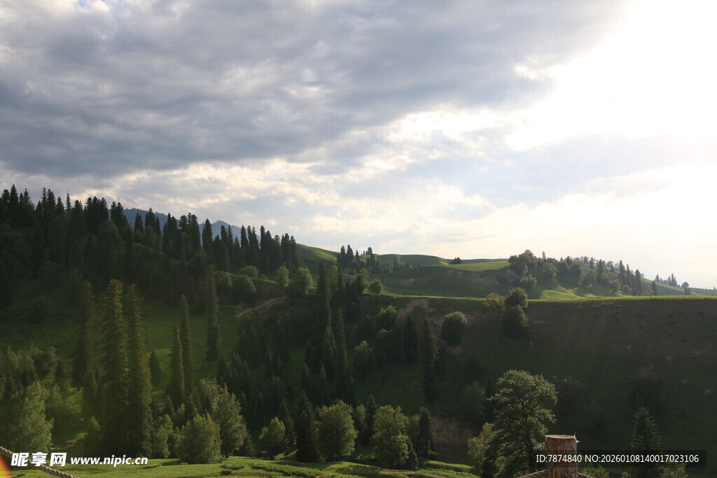 山间葱郁树林与多云天空