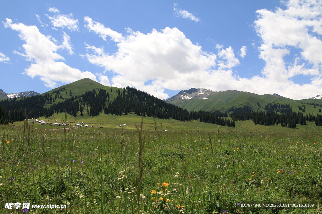 高山下的翠绿草原风光
