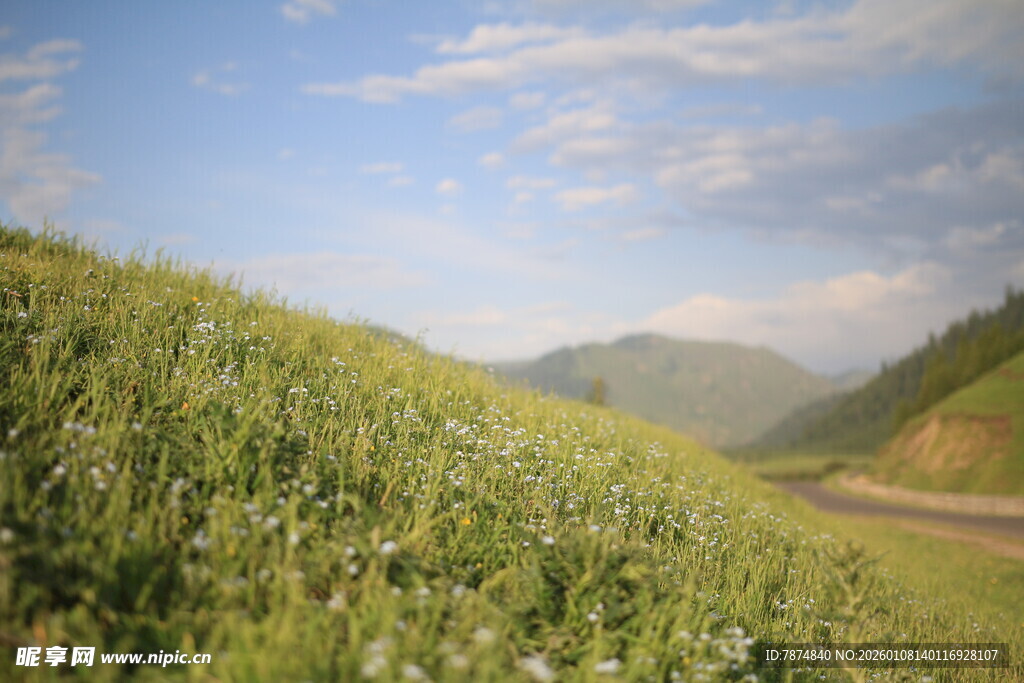 山间绿野公路美景