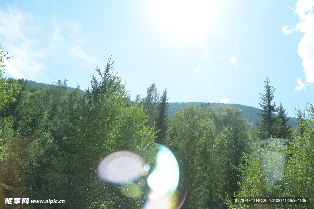 阳光照耀下的葱郁山林