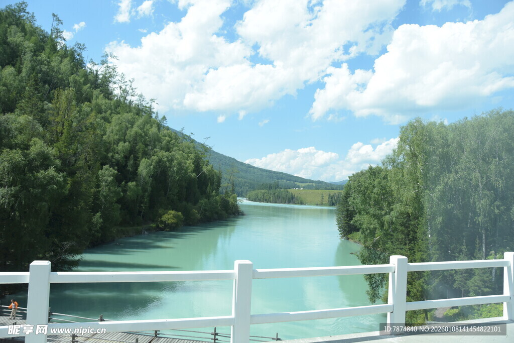 河畔美景 绿树与蓝天相映