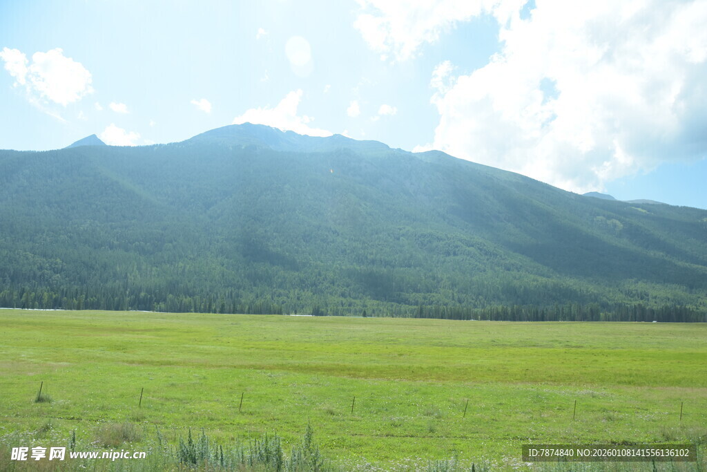 广袤绿野与叠翠山峦