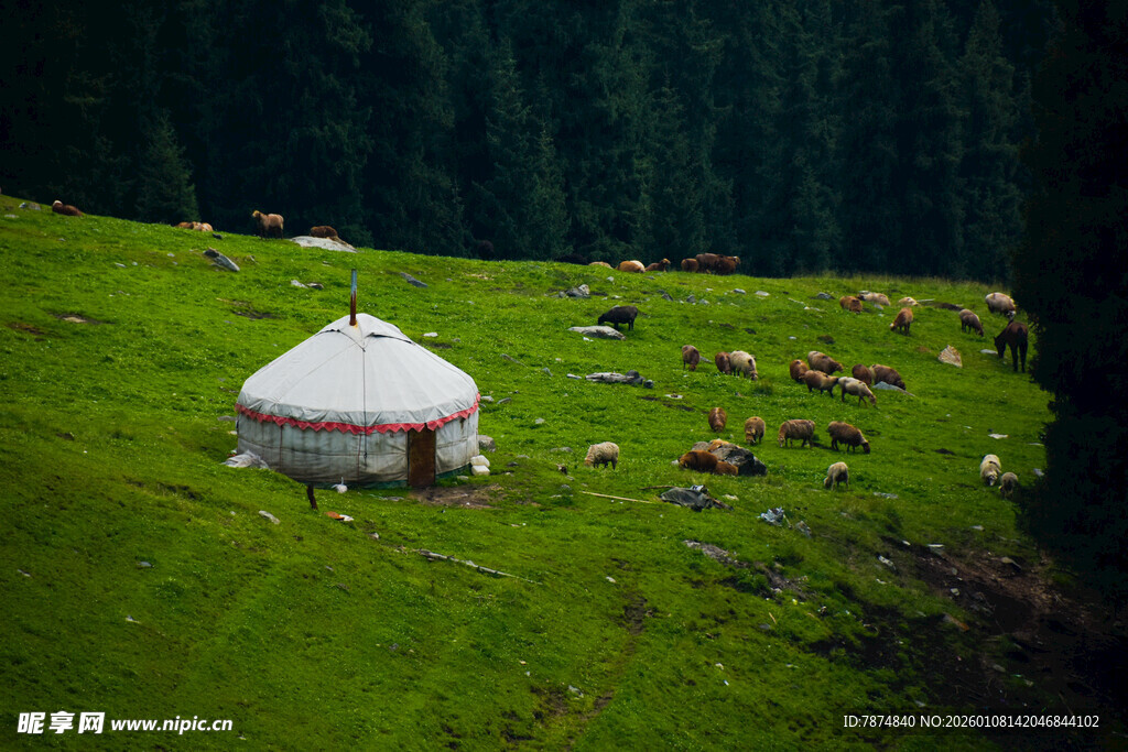 草原上的蒙古包与牧群