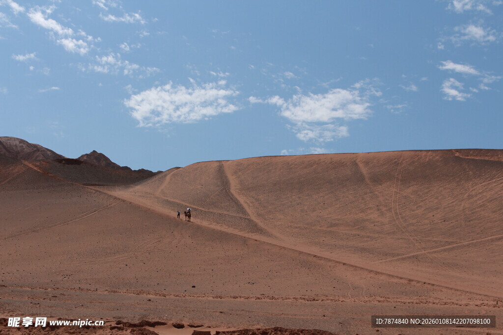 沙漠中的车辙痕迹
