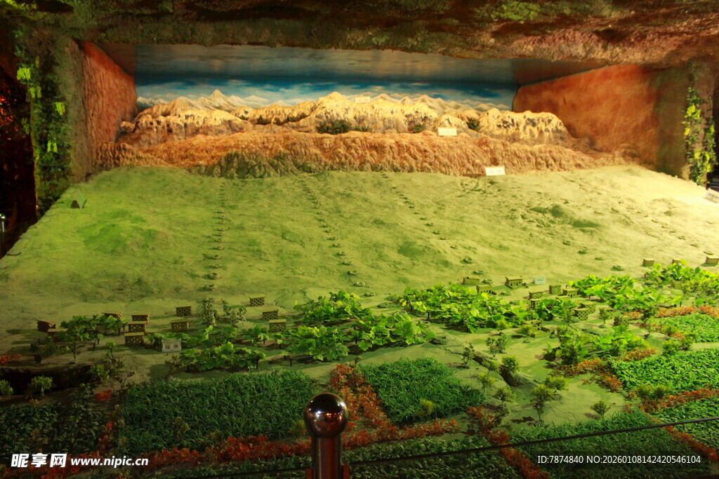 田园风光中的静谧场景