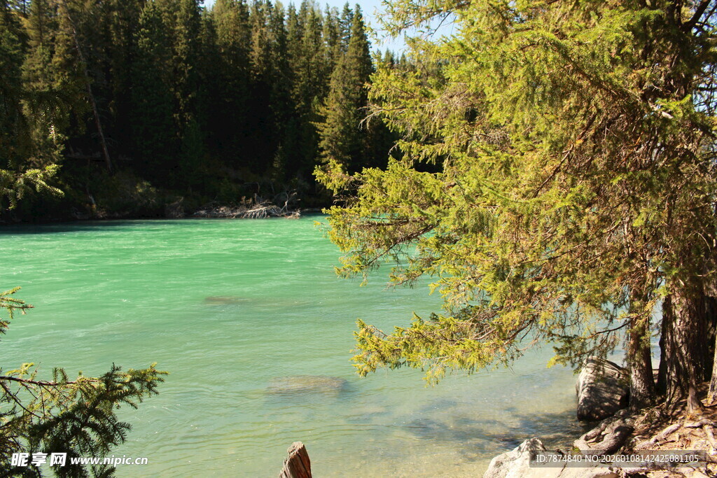 翠绿山林间的澄澈碧色河流
