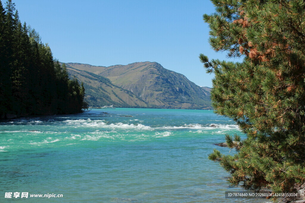 清澈蓝河旁的山林美景