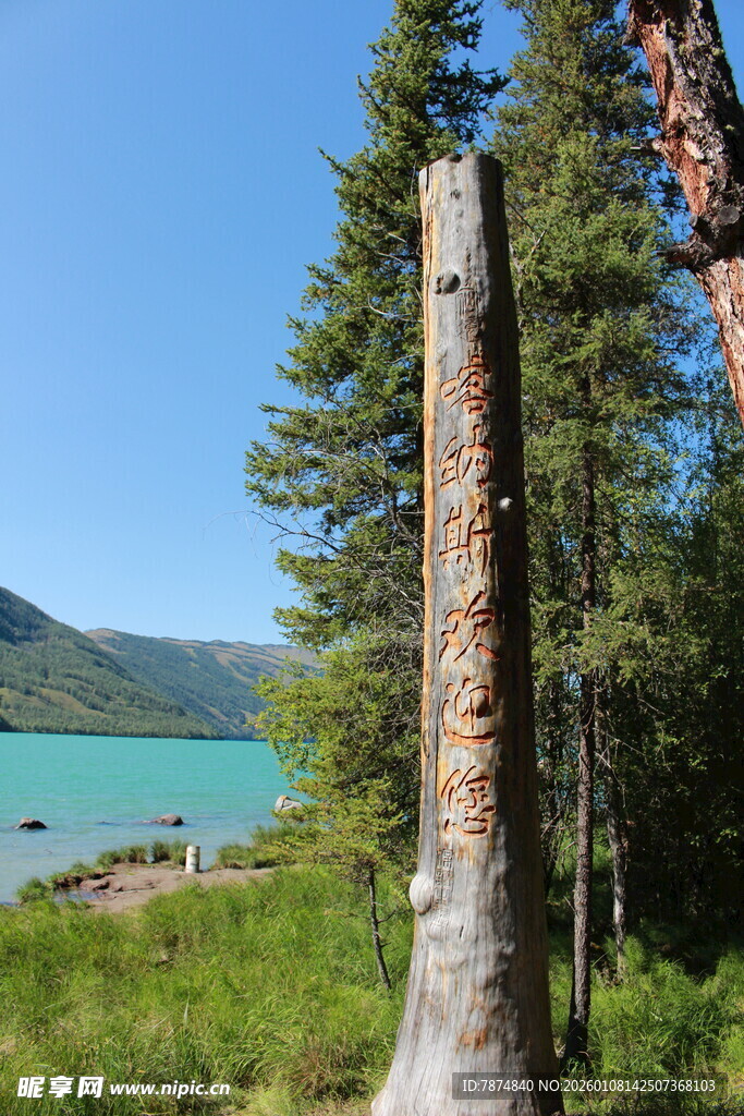 湖畔挺拔树木与秀丽湖景