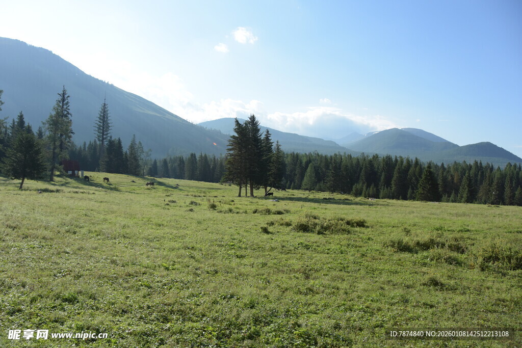 广袤草原与远处山峦美景