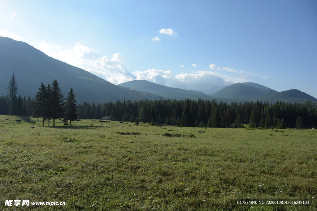 草原山林间的壮美风光