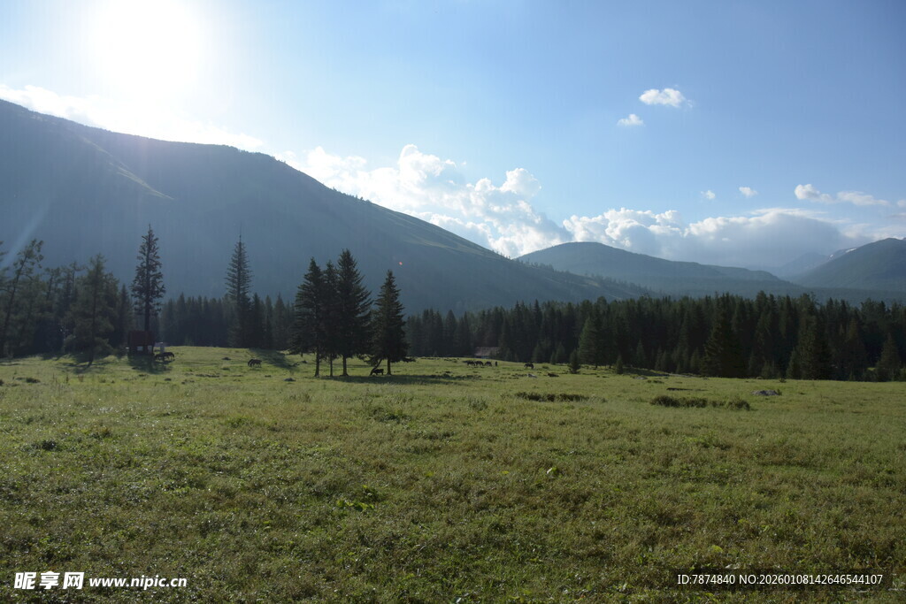 草原山林间的明媚风光