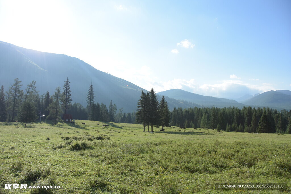 草原山林美景