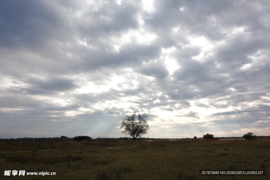 旷野孤树 云幕下的静谧景