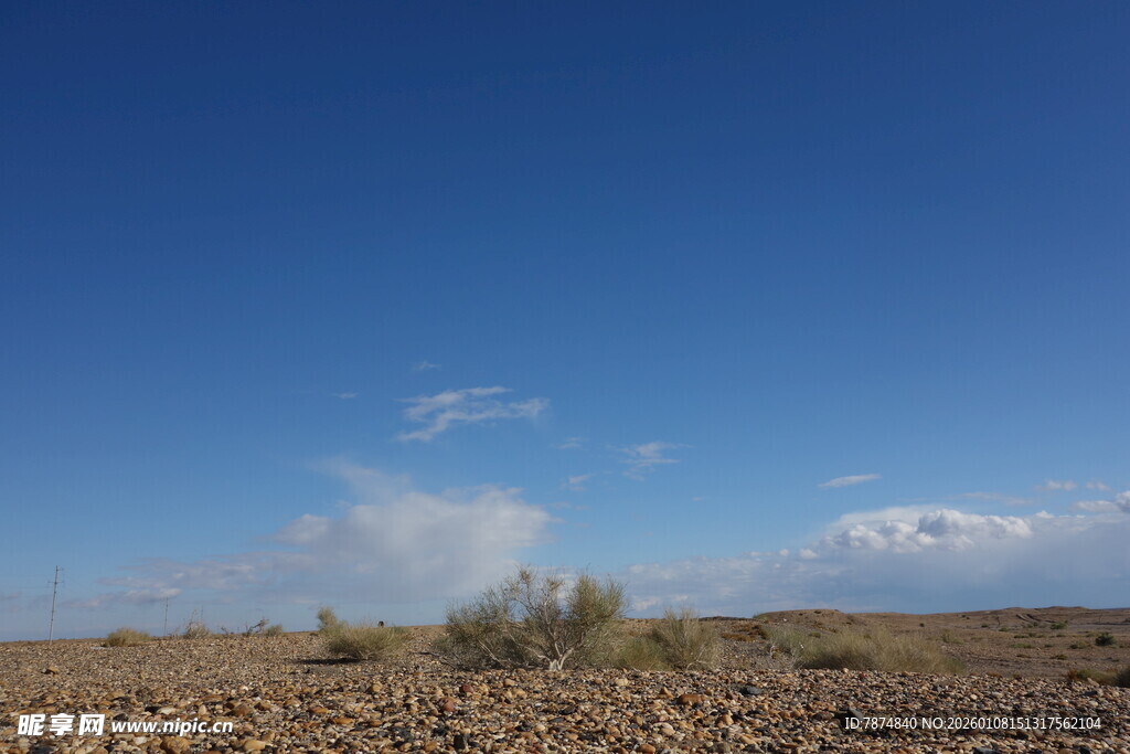 蓝天旷野中的稀疏植被