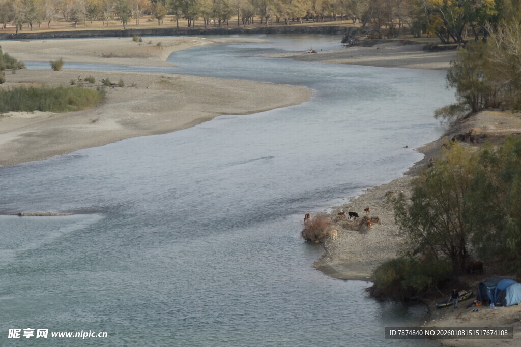蜿蜒河流边的自然景致