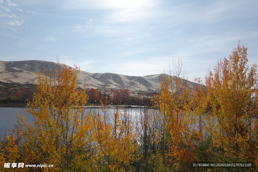 秋日湖畔绚烂景致