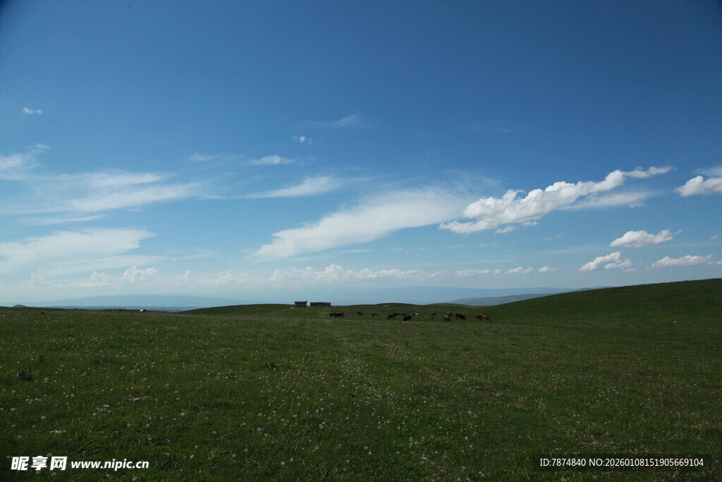 广袤草原与蓝天美景